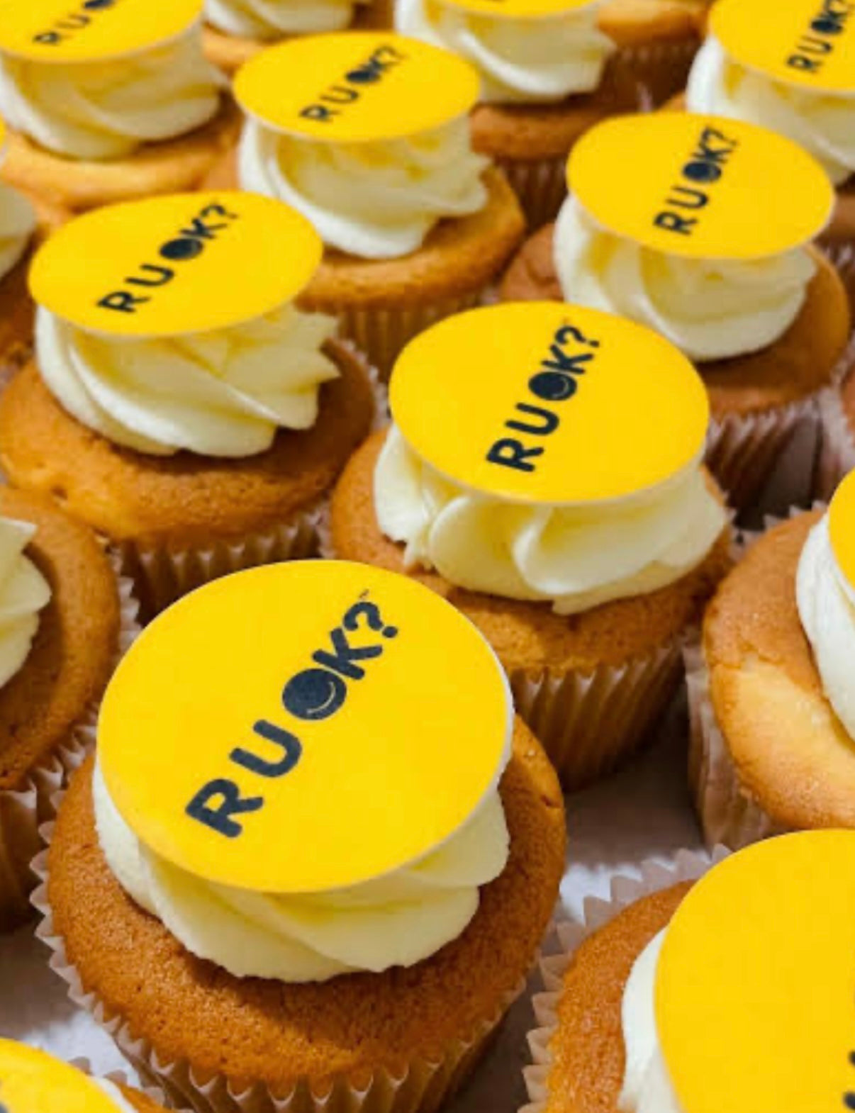 R U OK cupcakes standard