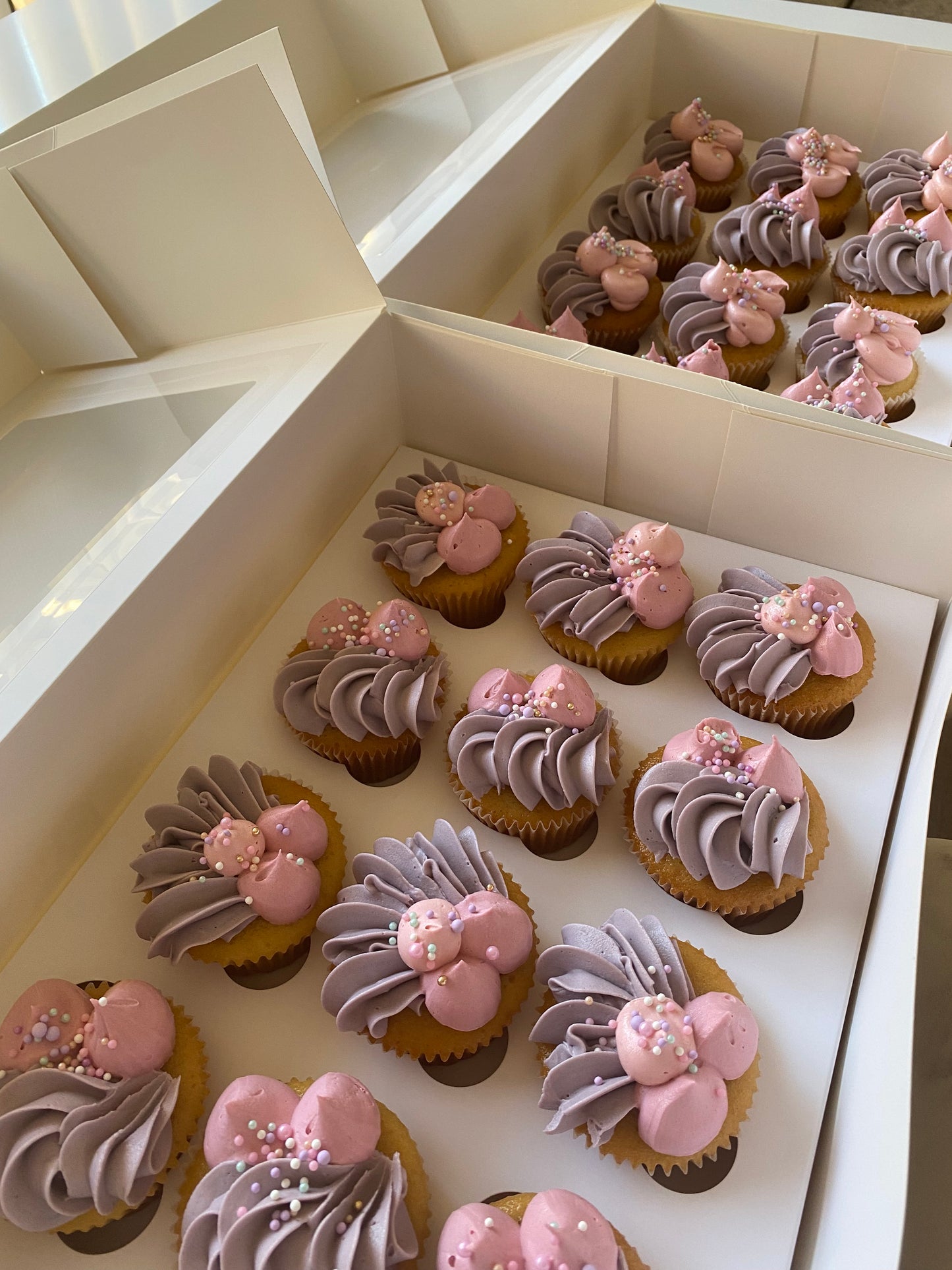 Minimal cupcakes pack of 12