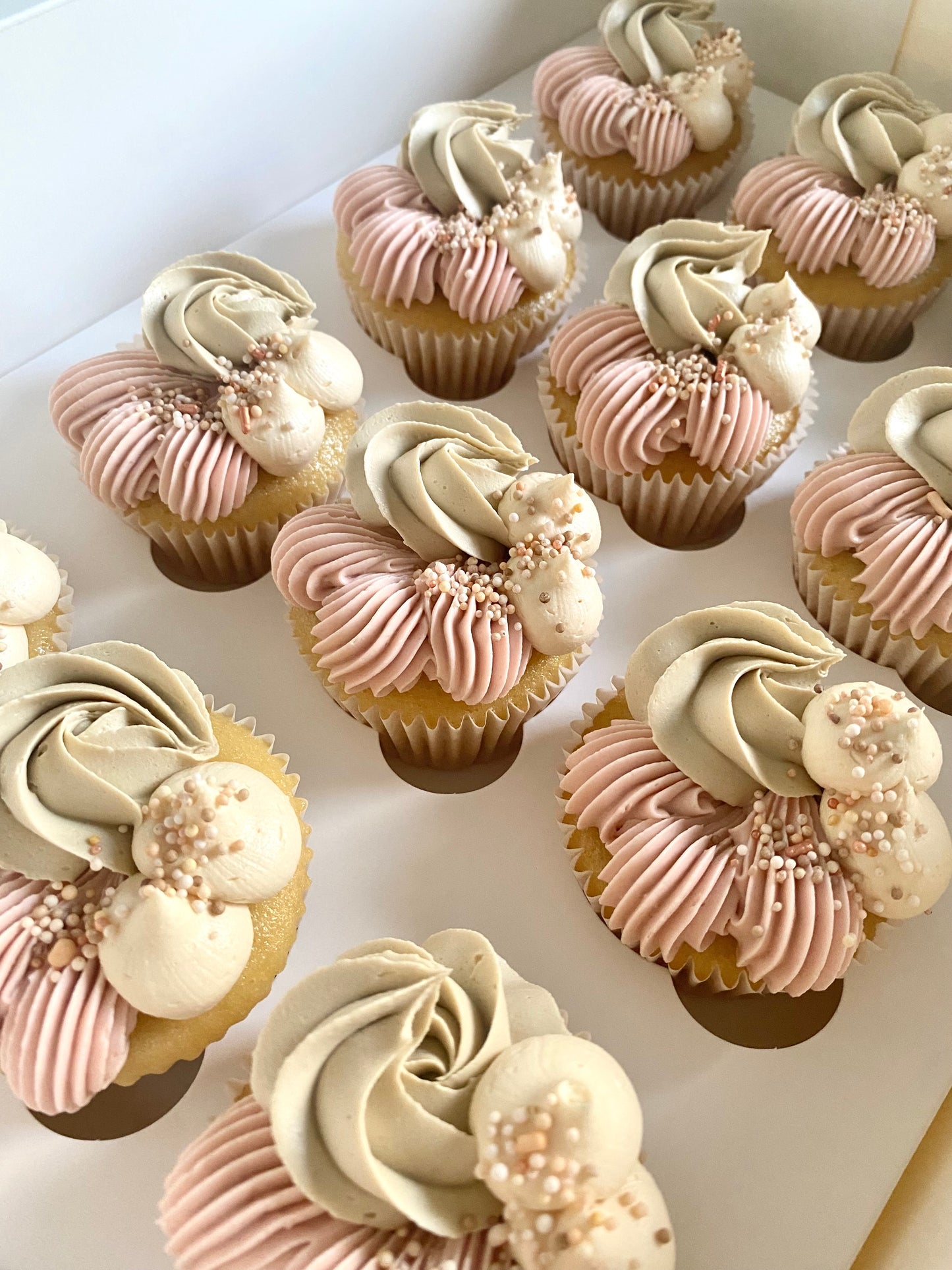 Minimal cupcakes pack of 12