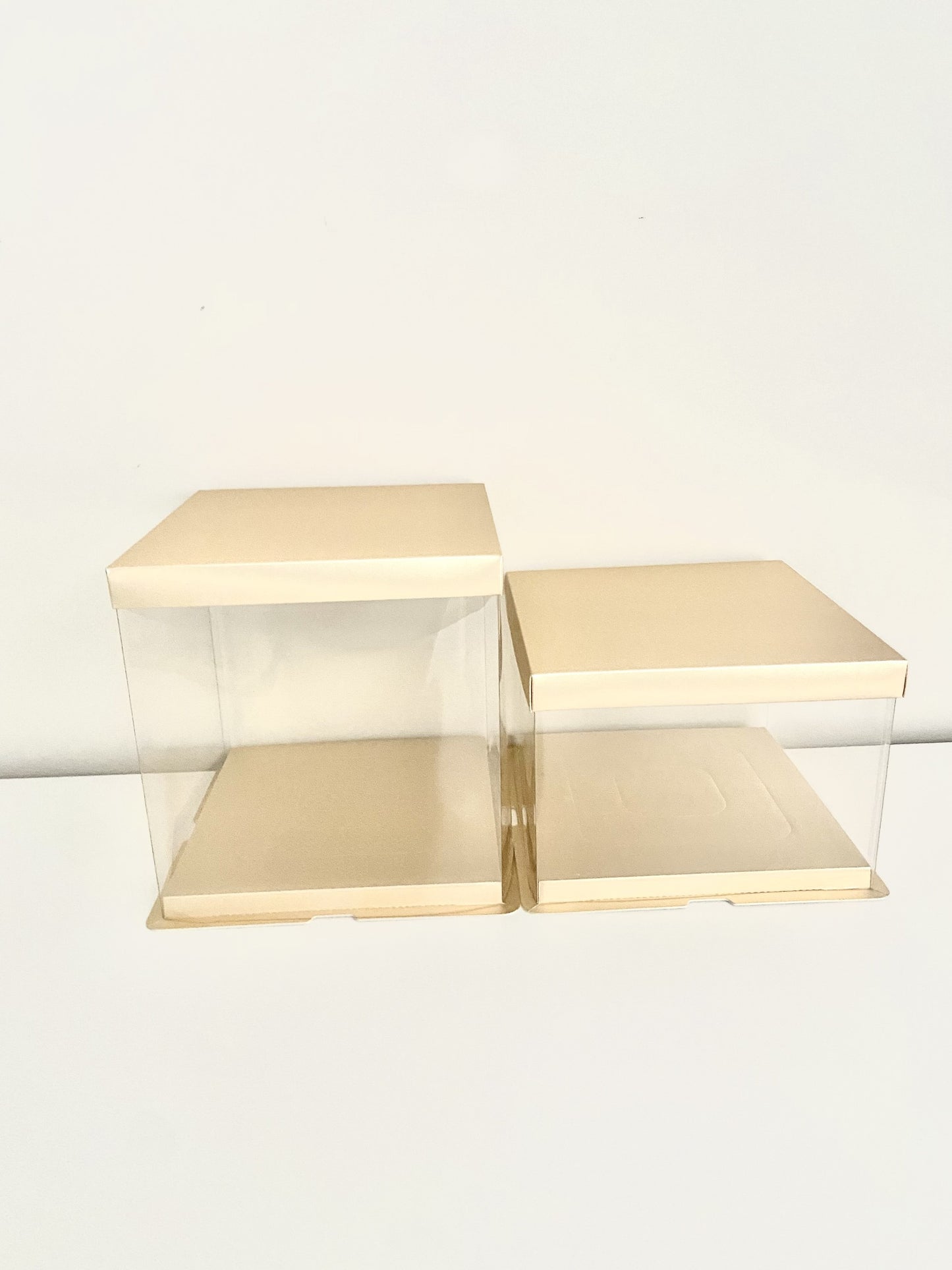 Gold Clear Tall Acrylic Cake Box - 6x6x8